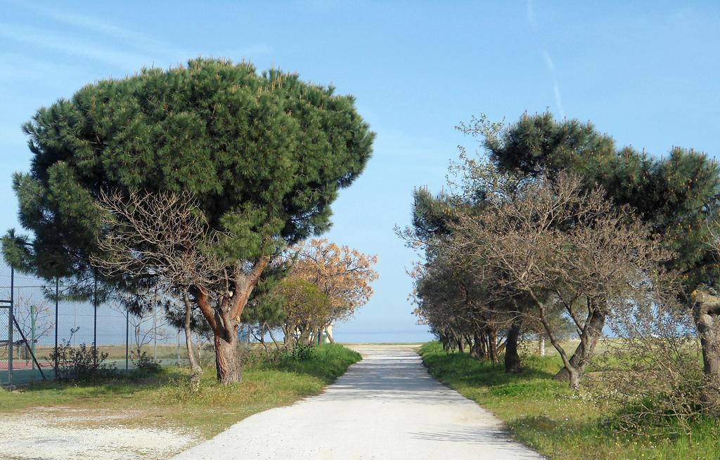 Villa Verano Asprovalta Esterno foto